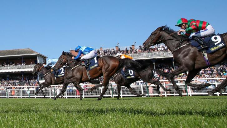 Horse racing at Ayr